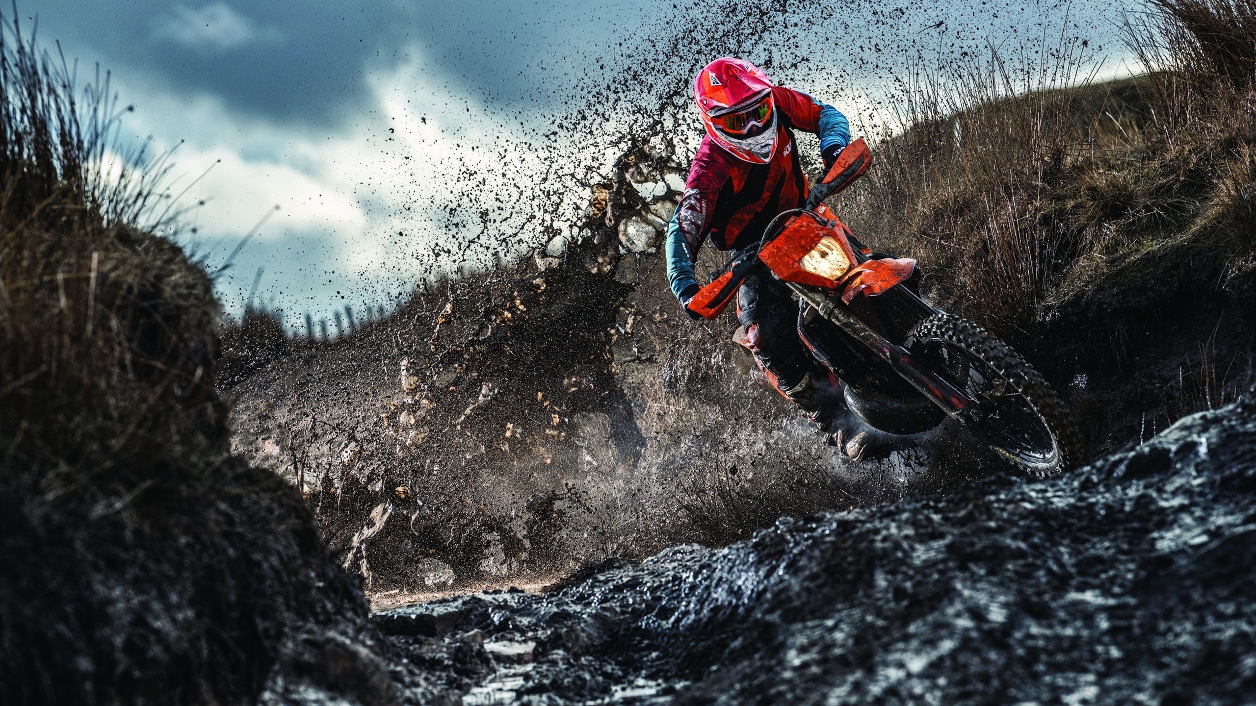 MC Alger 是国内传统劲旅，拥有众多冠军经历